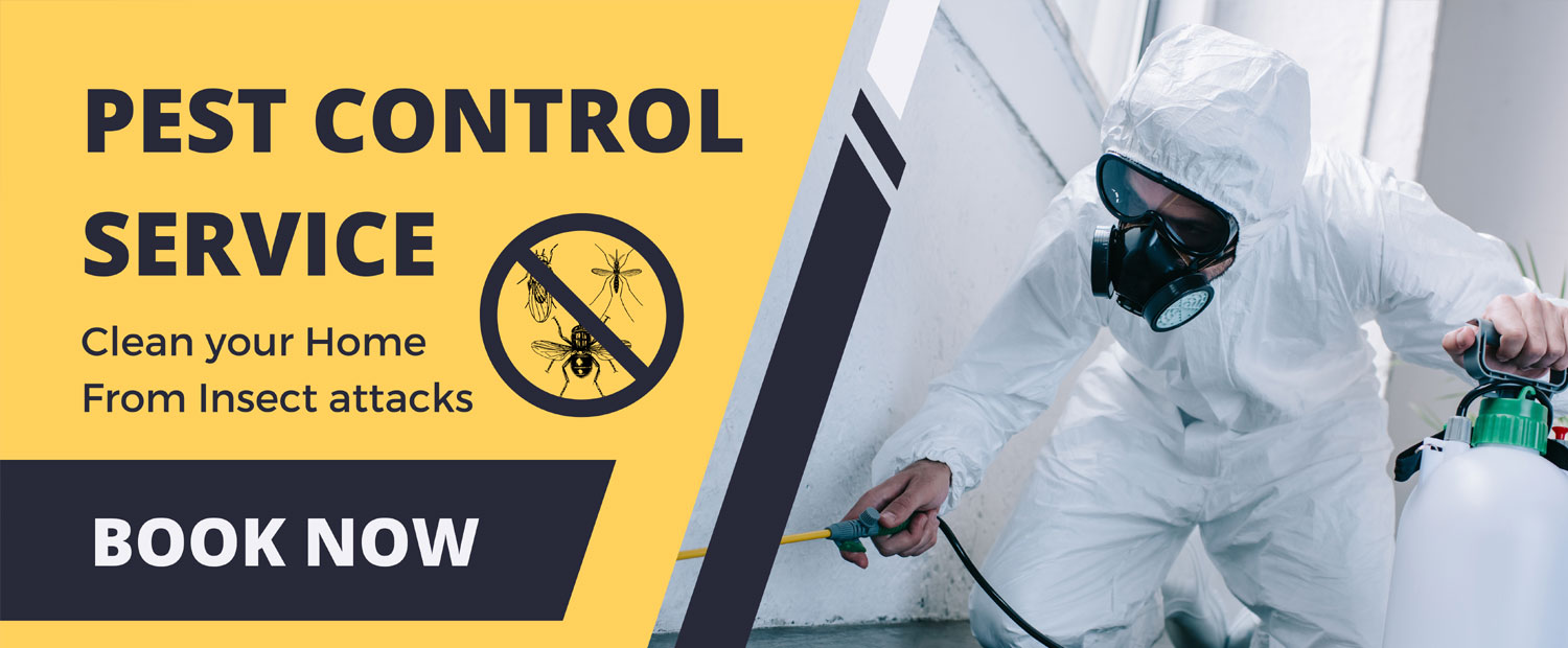 Cockroach Pest Control Sevices, Bed Bug Pest Control Services Gurgaon, Noida