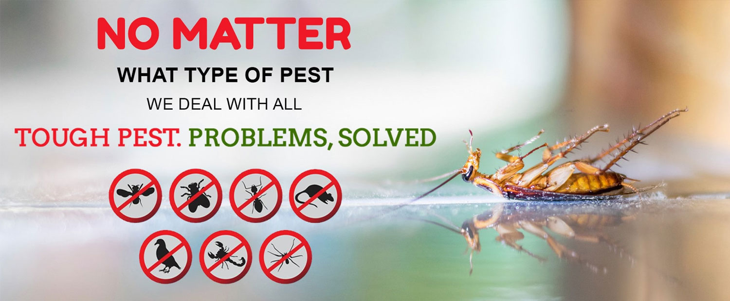 Commercial Pest Control Services in Gurgaon, Noida